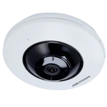 DS-2CD2955G0-ISU(1.05mm)