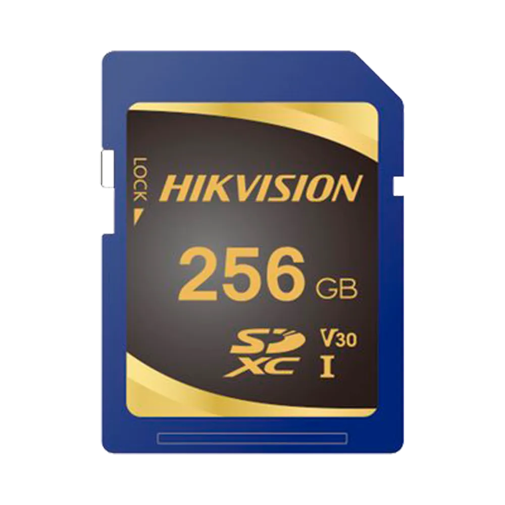 HS-SD-P10STD-256G