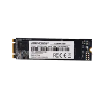 HS-SSD-E100NI-1024G-2280