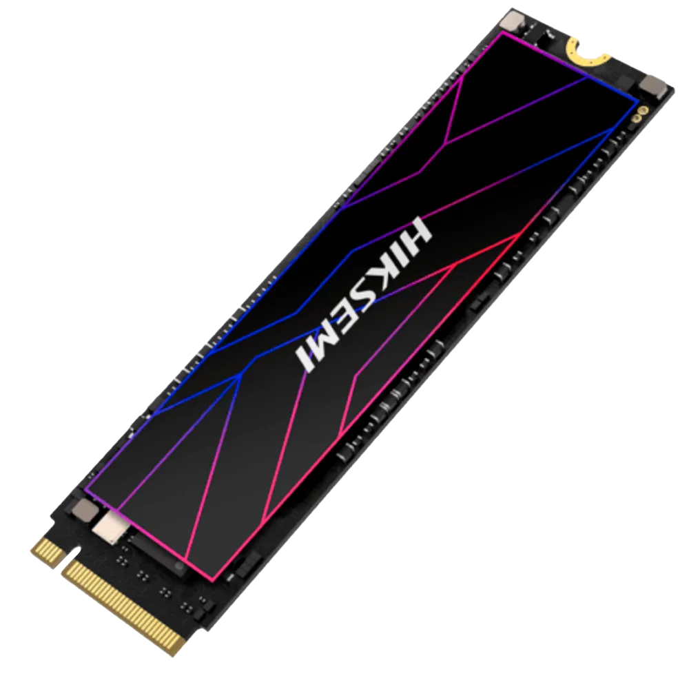 HS-SSD-FUTURE Pro(STD)/1024G/PCIE4/WW